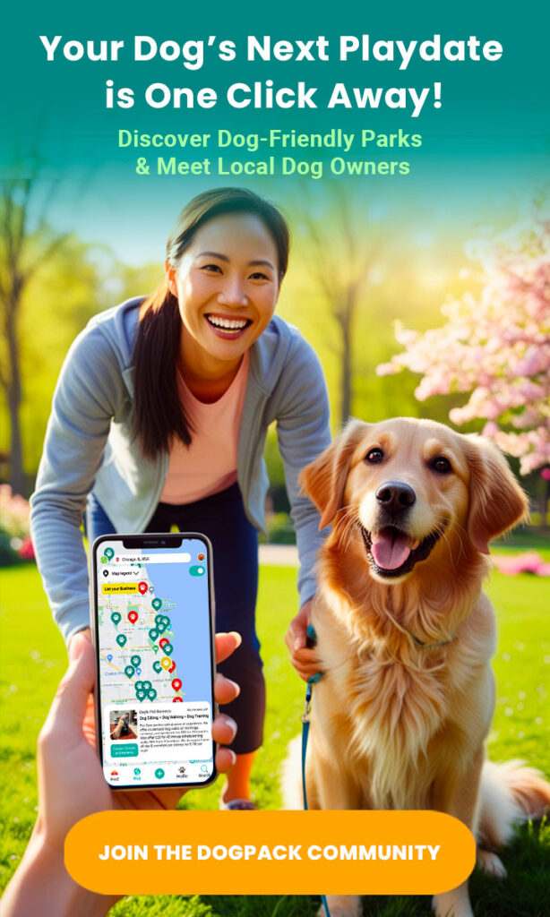 Your Dog’s Next Playdate is One Click Away!